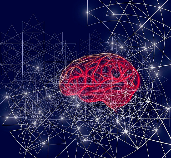 Dispositivos implantados no cérebro proporcionam comunicação com máquinas  dispositivos implantados no cerebro proporcionam comunicacao com maquinas dispositivos implantados no cerebro proporcionam comunicacao com maquinas 3