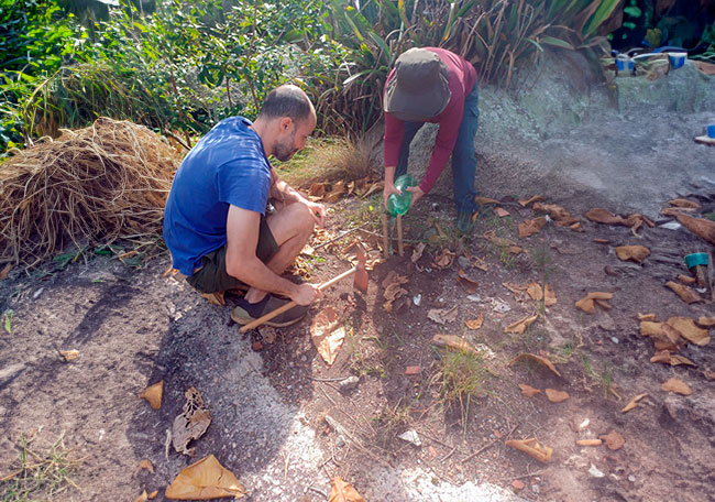 Voluntários ajudam na preservação de áreas verdes no Rio imagem do whatsapp de 2023 10 29 as 20.32.36 38bf621b
