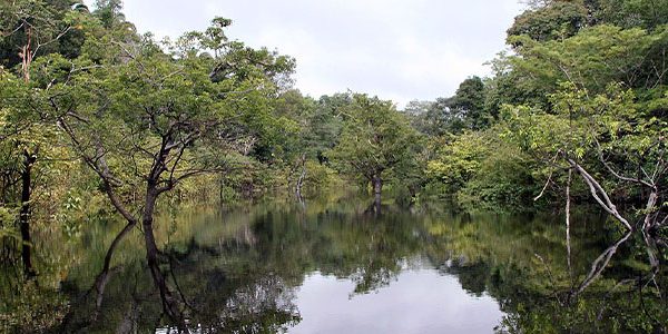 Rio Juma, na região de Autazes, no Amazonas. Crédito: Alexey Yakovlev, Wikimedia